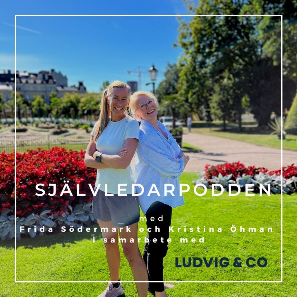 Löparäventyret