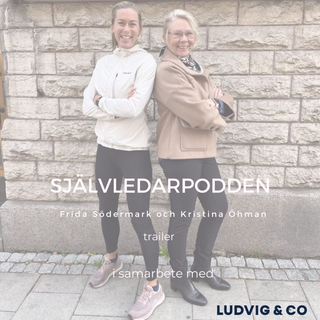 Löparäventyret