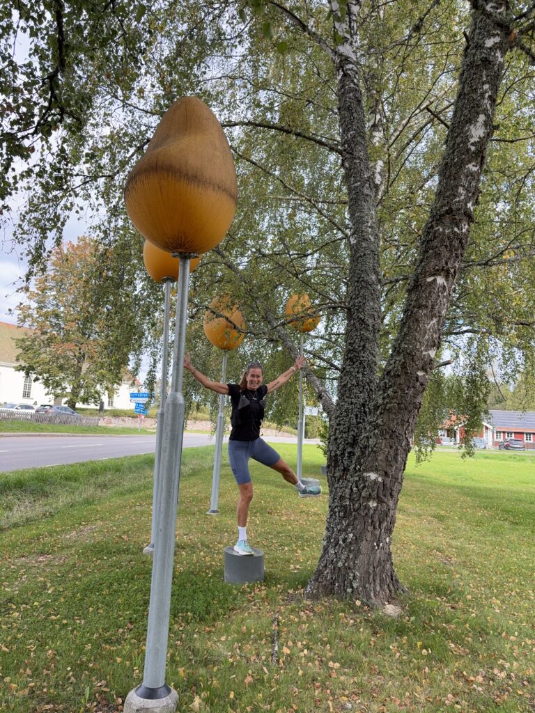 Löparäventyret